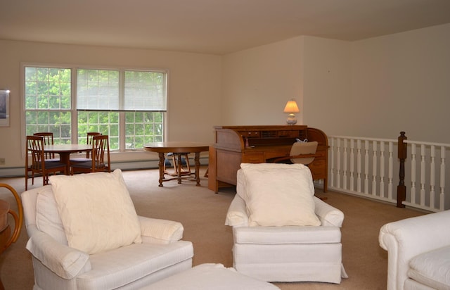 30155 Lakeview Ave, Wacouta Twp, MN 55066 - view of carpeted living area
