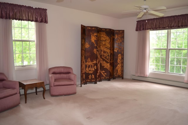 30155 Lakeview Ave, Wacouta Twp, MN 55066 - living area with a ceiling fan, carpet, and a baseboard radiator
