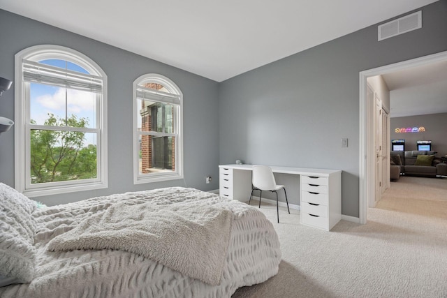 1020 Portland Ave, Minneapolis, MN 55404 - bedroom with carpet flooring and multiple windows