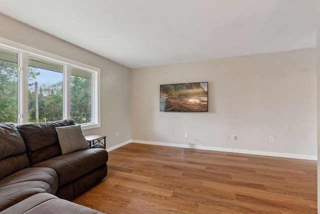 1650 107th Ave NW, Coon Rapids, MN 55433 - living area with wood finished floors and baseboards