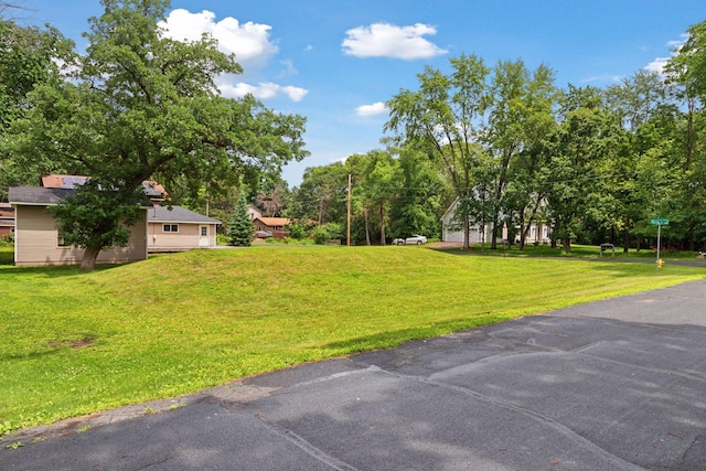2070 Racine Ave S, Lake Saint Croix Beach, MN 55043 - view of green lawn with view of wooded area