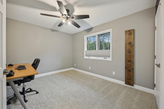 26659 145th St NW, Zimmerman, MN 55398 - unfurnished office featuring a ceiling fan, carpet floors, and a textured ceiling