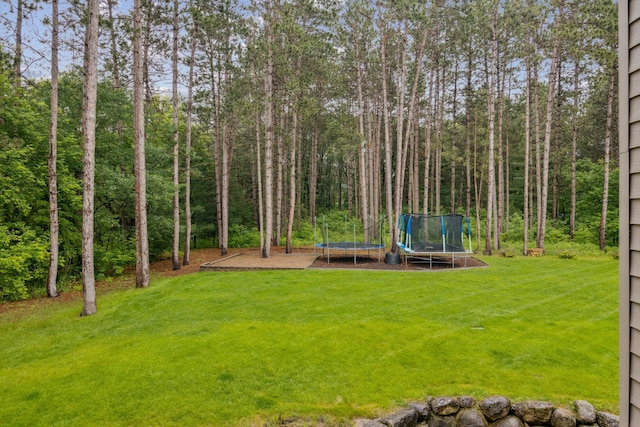 26659 145th St NW, Zimmerman, MN 55398 - view of grassy yard with a trampoline