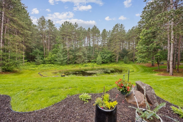 26659 145th St NW, Zimmerman, MN 55398 - view of grassy yard
