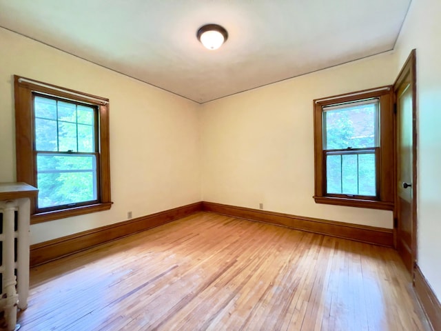 2411 Como Ave, Saint Paul, MN 55108 - empty room with light wood finished floors and plenty of natural light