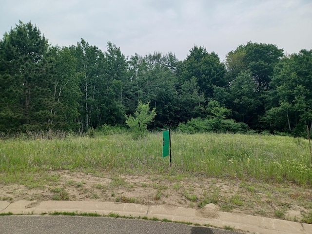 LOT6BLOCK1 Austin St NE, Ham Lake, MN 55304