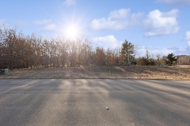 20331 Salem St NW, Elk River, MN 55330 - view of asphalt street