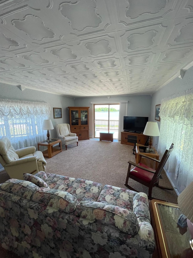 38481 County Highway 41, Star Lake Twp, MN 56528 - living area with carpet flooring and an ornate ceiling