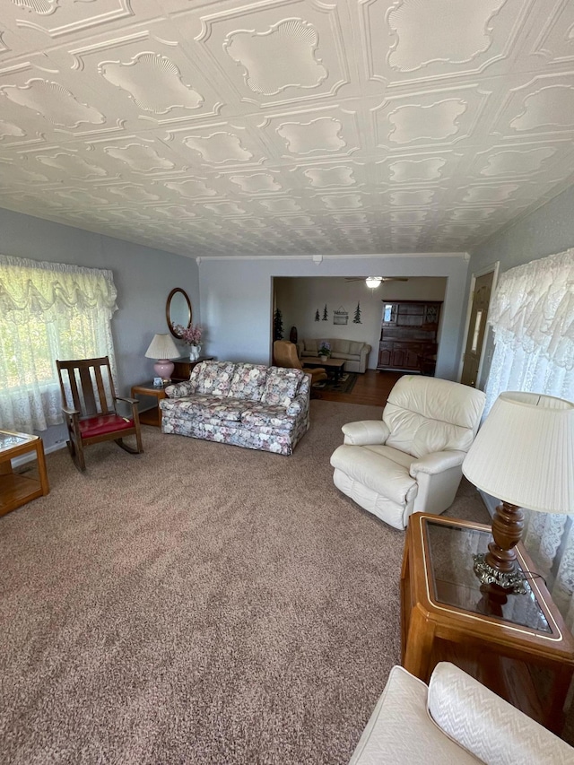 38481 County Highway 41, Star Lake Twp, MN 56528 - living room with an ornate ceiling and carpet flooring