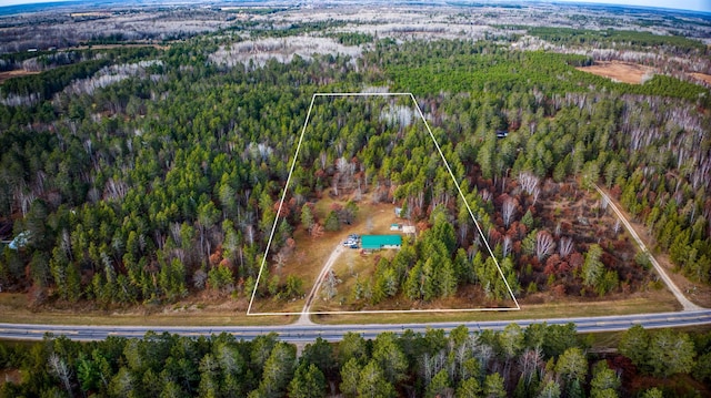 1951 Wolf Lake Dr SE, Bemidji, MN 56601 - aerial view of property and surrounding area with a forest and property boundaries highlighted