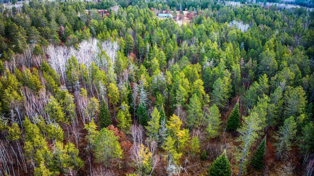 1951 Wolf Lake Dr SE, Bemidji, MN 56601 - aerial view of a heavily wooded area