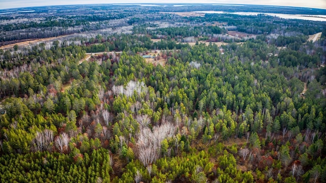 1951 Wolf Lake Dr SE, Bemidji, MN 56601 - aerial view of a forest
