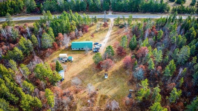 1951 Wolf Lake Dr SE, Bemidji, MN 56601 - aerial view of property's location