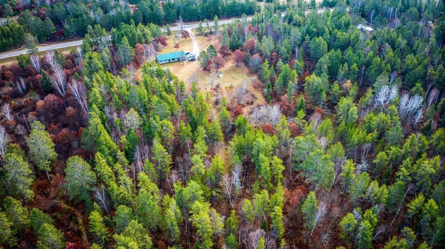1951 Wolf Lake Dr SE, Bemidji, MN 56601 - aerial overview of property's location