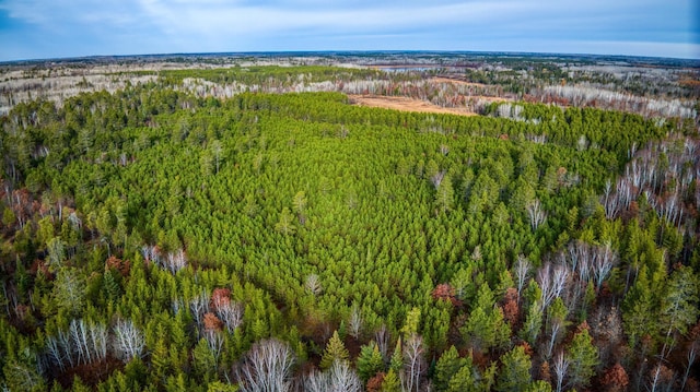 1951 Wolf Lake Dr SE, Bemidji, MN 56601 - view of property location with a forest