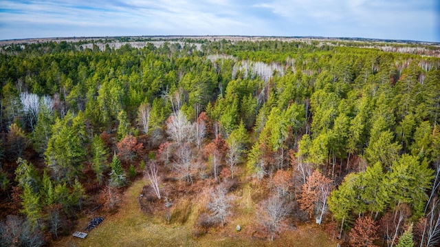 1951 Wolf Lake Dr SE, Bemidji, MN 56601 - aerial view of a forest