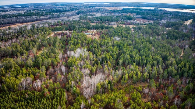 1951 Wolf Lake Dr SE, Bemidji, MN 56601 - aerial view of a forest