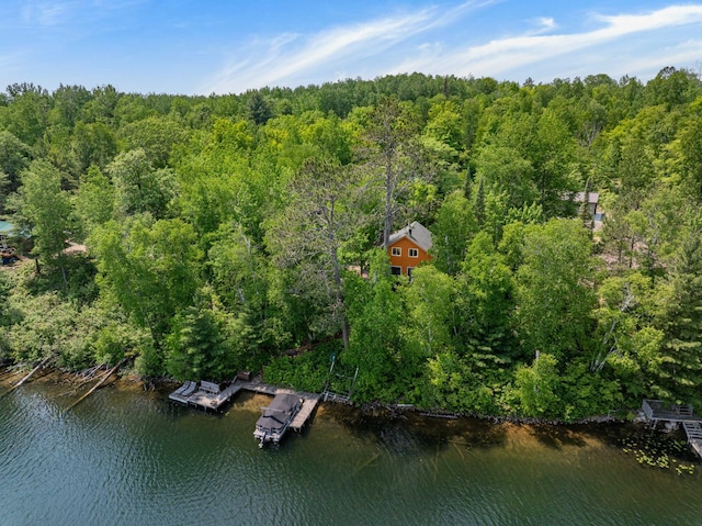 43784 Spider Lake Rd, Marcell, MN 56657 - aerial view of property and surrounding area featuring a forest and a large body of water