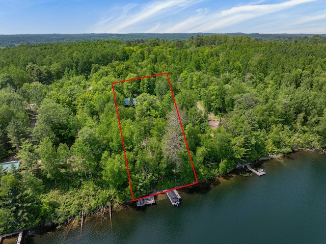 43784 Spider Lake Rd, Marcell, MN 56657 - aerial view of property and surrounding area with a forest and property parcel outlined