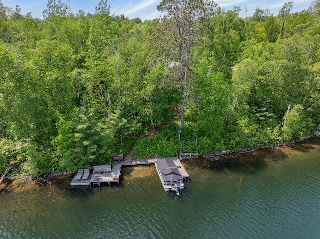 43784 Spider Lake Rd, Marcell, MN 56657 - dock area with a forest view and a water view