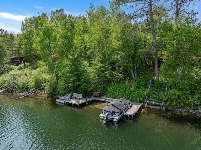 43784 Spider Lake Rd, Marcell, MN 56657 - dock area featuring a water view