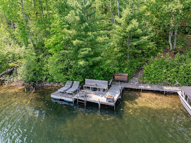 43784 Spider Lake Rd, Marcell, MN 56657 - dock area featuring a view of trees
