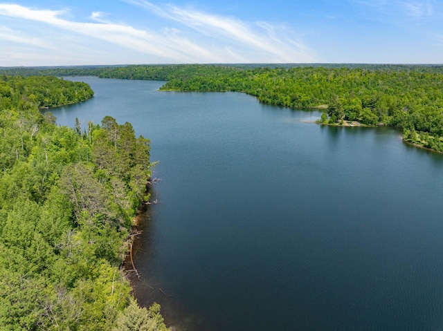 43784 Spider Lake Rd, Marcell, MN 56657 - bird's eye view of a heavily wooded area and a large body of water