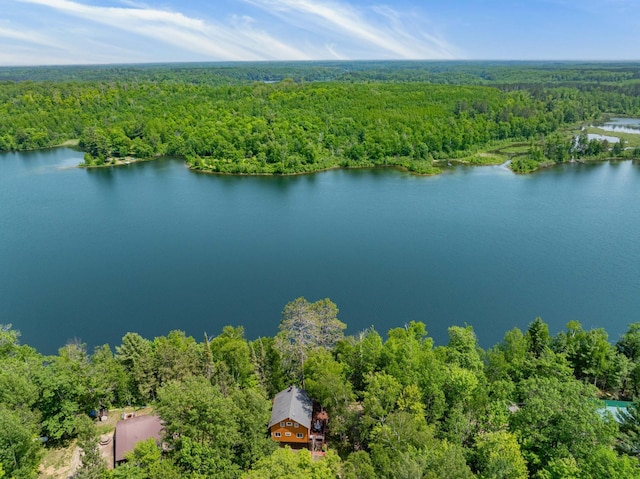 43784 Spider Lake Rd, Marcell, MN 56657 - bird's eye view of a heavily wooded area and a nearby body of water