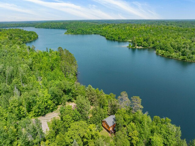 43784 Spider Lake Rd, Marcell, MN 56657 - drone / aerial view of a heavily wooded area and a large body of water