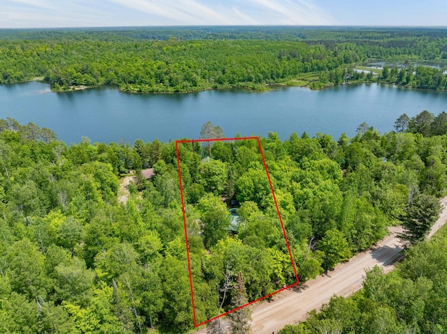 43784 Spider Lake Rd, Marcell, MN 56657 - aerial view of property and surrounding area with a forest and property boundaries highlighted