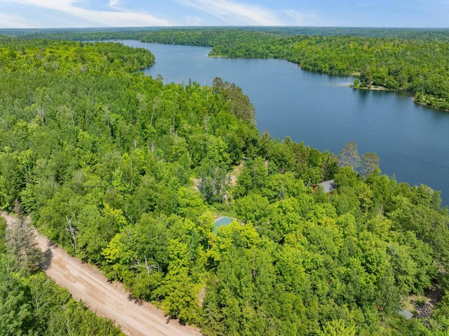 43784 Spider Lake Rd, Marcell, MN 56657 - bird's eye view of a heavily wooded area and a large body of water