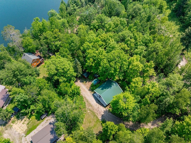 43784 Spider Lake Rd, Marcell, MN 56657 - bird's eye view of a large body of water