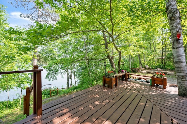 43784 Spider Lake Rd, Marcell, MN 56657 - wooden terrace featuring a water view