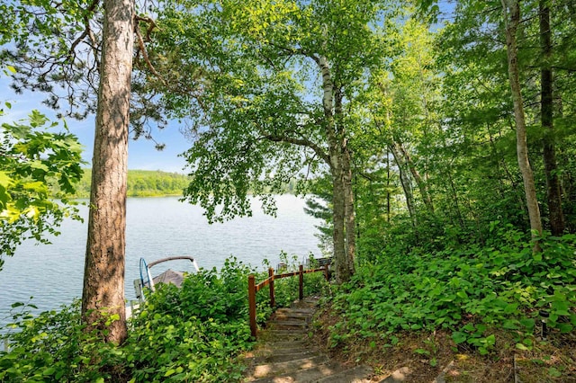 43784 Spider Lake Rd, Marcell, MN 56657 - water view