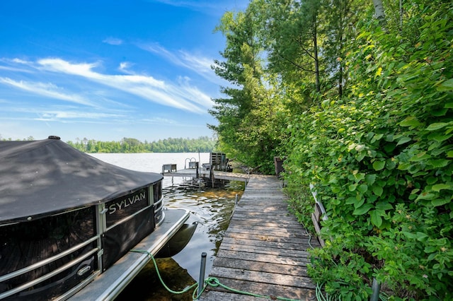 43784 Spider Lake Rd, Marcell, MN 56657 - dock with a water view