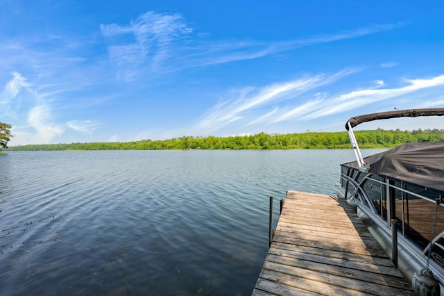 43784 Spider Lake Rd, Marcell, MN 56657 - dock area with a water view