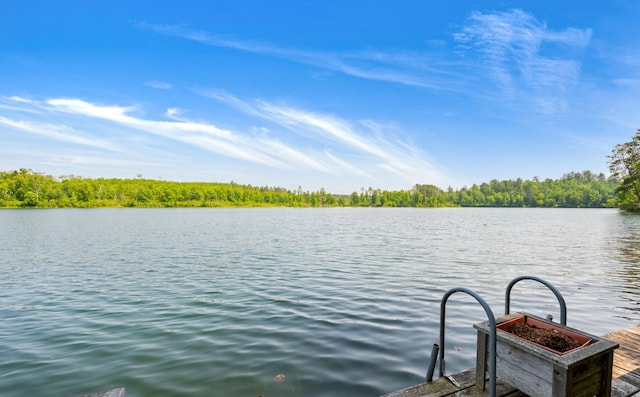 43784 Spider Lake Rd, Marcell, MN 56657 - dock with a water view