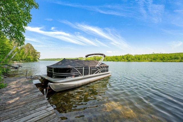 43784 Spider Lake Rd, Marcell, MN 56657 - dock area with a water view