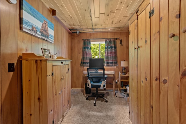 43784 Spider Lake Rd, Marcell, MN 56657 - carpeted home office featuring wooden walls and wood ceiling