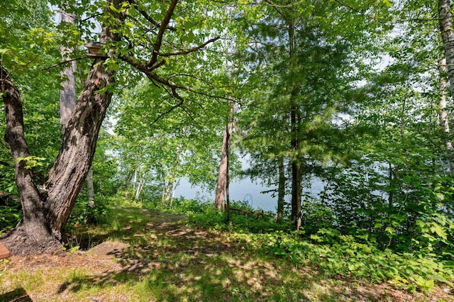 43784 Spider Lake Rd, Marcell, MN 56657 - view of local wilderness featuring a nearby body of water