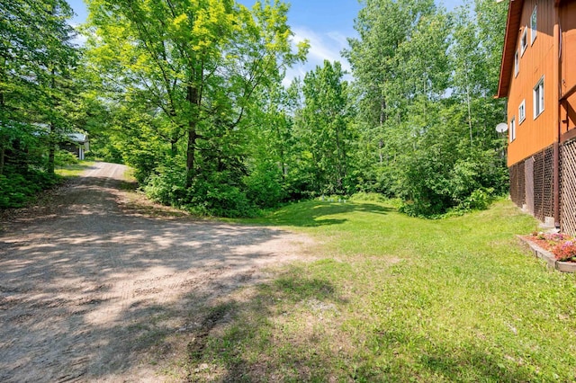 43784 Spider Lake Rd, Marcell, MN 56657 - view of dirt / gravel road