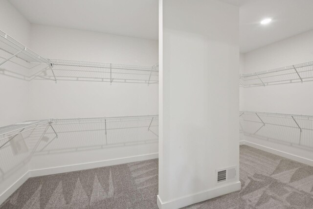 5043 42nd Ave S, Minneapolis, MN 55417 - spacious closet with carpet floors