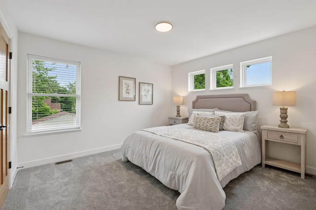 5043 42nd Ave S, Minneapolis, MN 55417 - carpeted bedroom with baseboards