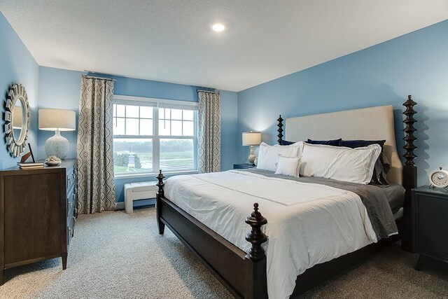 6574 208th St W, Farmington, MN 55024 - view of carpeted bedroom