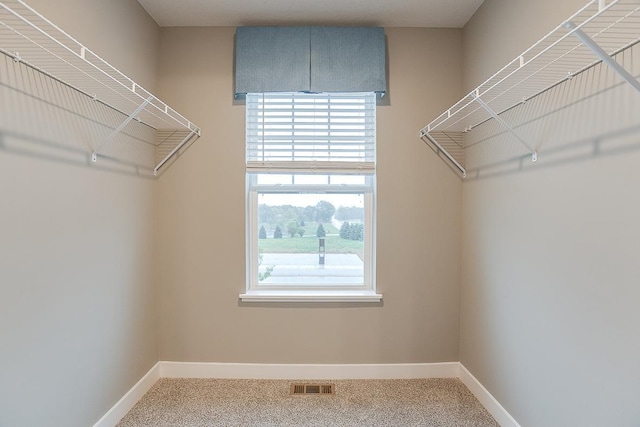 6574 208th St W, Farmington, MN 55024 - spacious closet featuring carpet