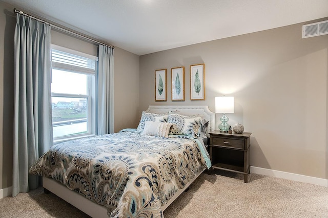 6574 208th St W, Farmington, MN 55024 - bedroom with carpet and baseboards
