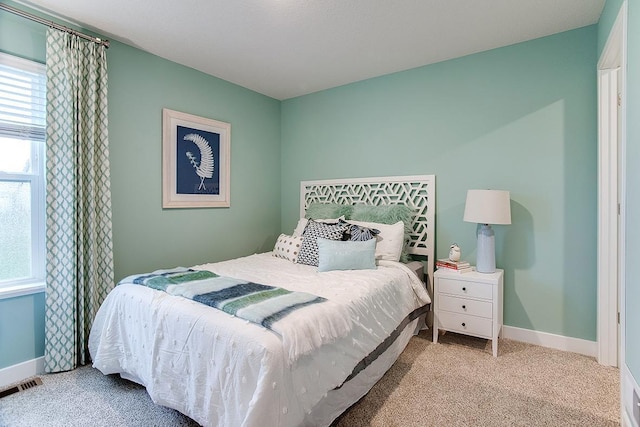 6574 208th St W, Farmington, MN 55024 - bedroom featuring multiple windows and carpet floors