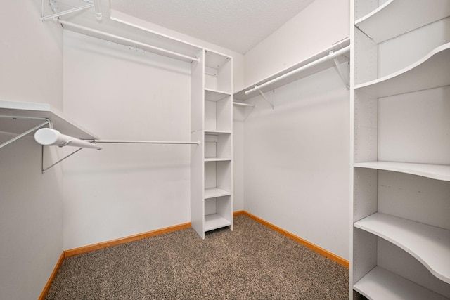 1550 Zarthan Ave S Unit 506, Saint Louis Park, MN 55416 - photo 16