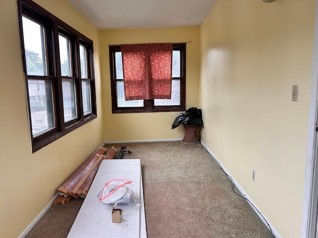 328 Edmund Ave, Saint Paul, MN 55103 - view of sunroom