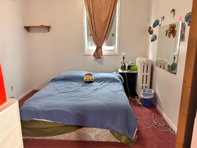 328 Edmund Ave, Saint Paul, MN 55103 - bedroom with radiator heating unit and carpet flooring